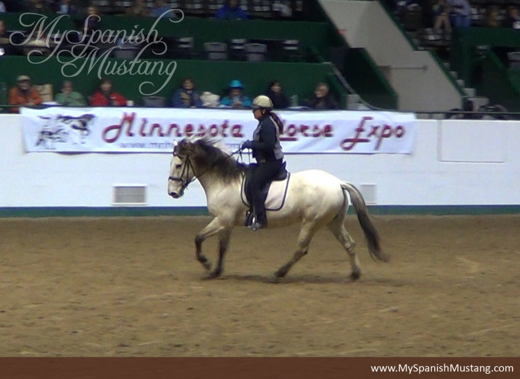 My Spanish Mustang Indian's Legend at the 2015 Minnesota Horse Expo