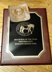2014 SMR Performance Horse of the Year and 1000 mileage patch